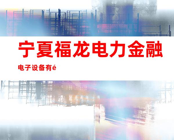 宁夏福龙电力金融电子设备有限公司