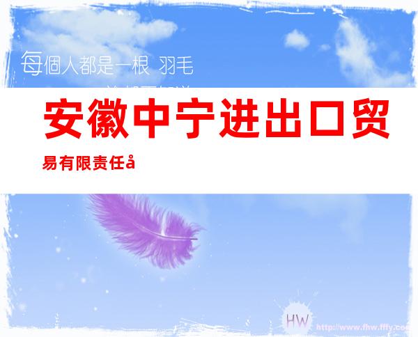 安徽中宁进出口贸易有限责任公司
