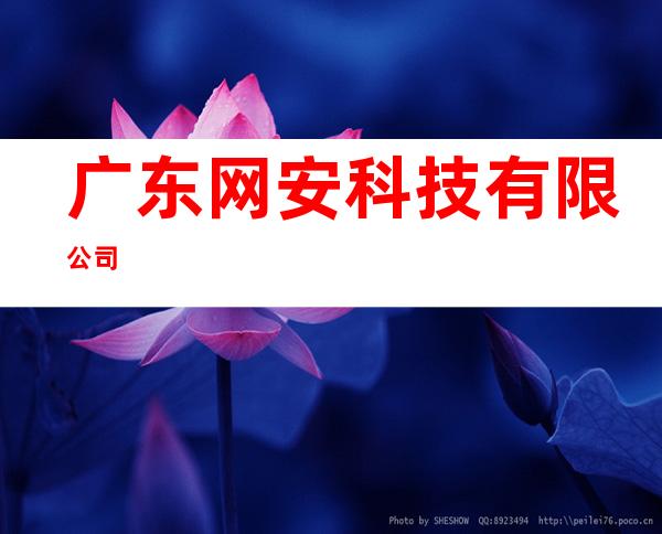 广东网安科技有限公司