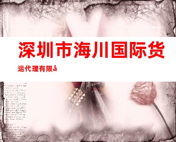 深圳市海川国际货运代理有限公司