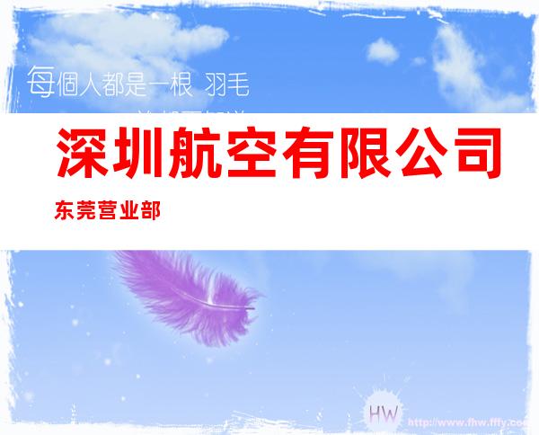 深圳航空有限公司东莞营业部